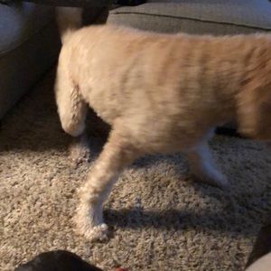 Meet your Posher, Stefanie